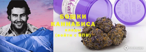 ПСИЛОЦИБИНОВЫЕ ГРИБЫ Верхнеуральск