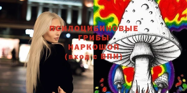 сатива Волоколамск