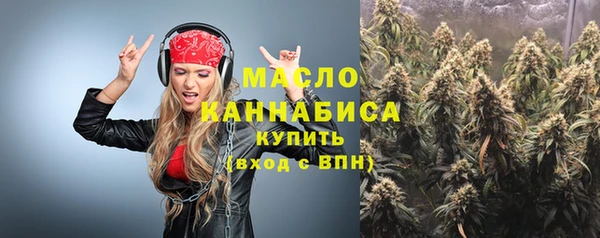 дмт Осинники